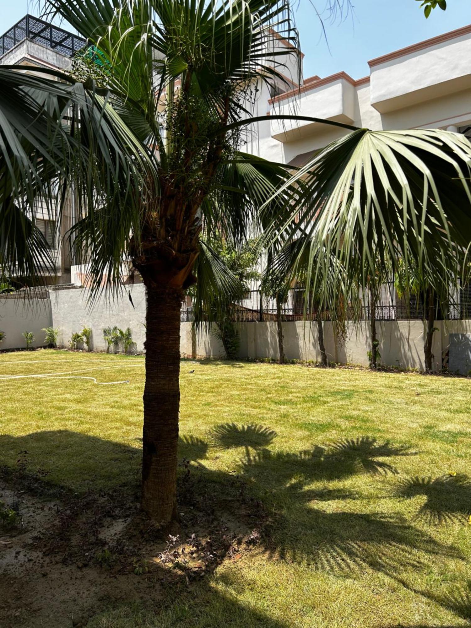 Ashirvad Homestay 瓦拉纳西 外观 照片